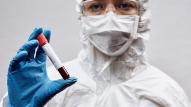 ebola da virus bundibugyo