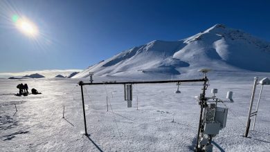 Svalbard primavera 2026