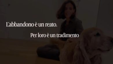 spot Polizia di Stato contro abbandono animali