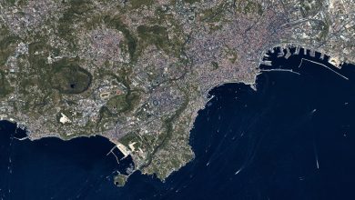 Eaglet II Napoli